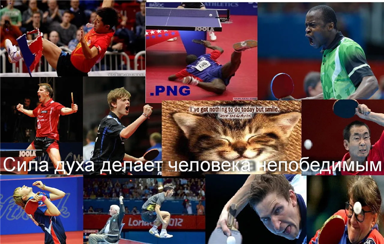 Рейтинг фнтр по настольному теннису