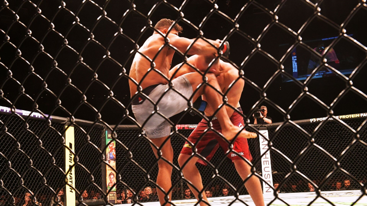 Сетка боев ufc