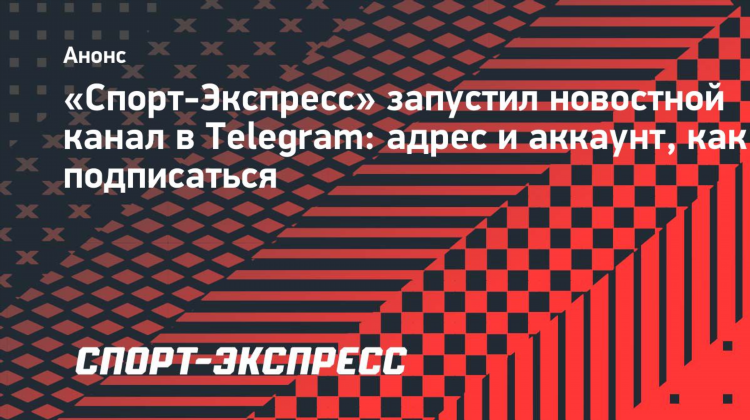 Телеграмм канал спорт