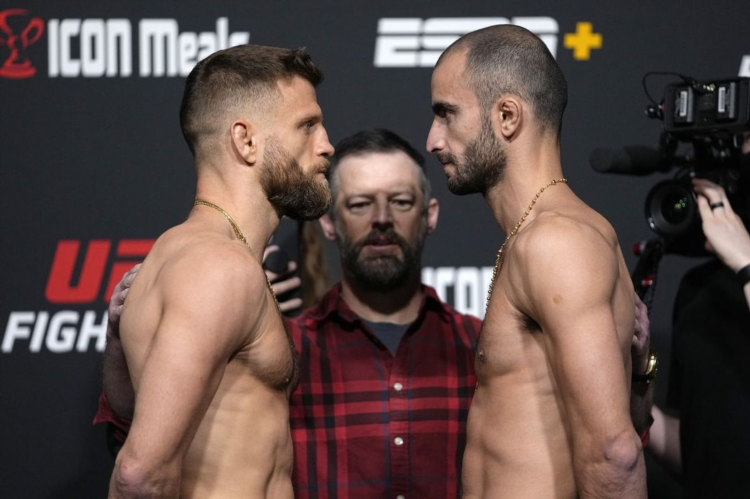 Тяжелая весовая категория ufc
